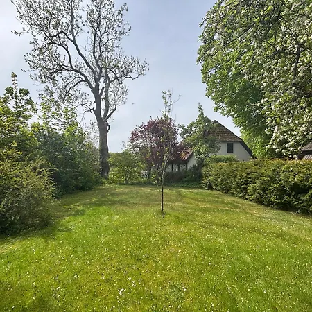 Am Noor Nahe Schleswig Und Dem Wikingerdorf Haithabu Fahrdorf (Schleswig-Holstein)