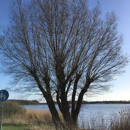 Lejlighed Am Noor Nahe Schleswig Und Dem Wikingerdorf Haithabu *