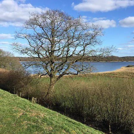 Am Noor Nahe Schleswig Und Dem Wikingerdorf Haithabu Lejlighed *