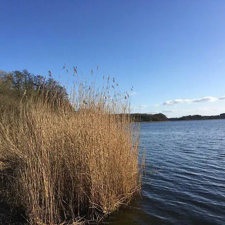 Am Noor Nahe Schleswig Und Dem Wikingerdorf Haithabu * Fahrdorf (Schleswig-Holstein)